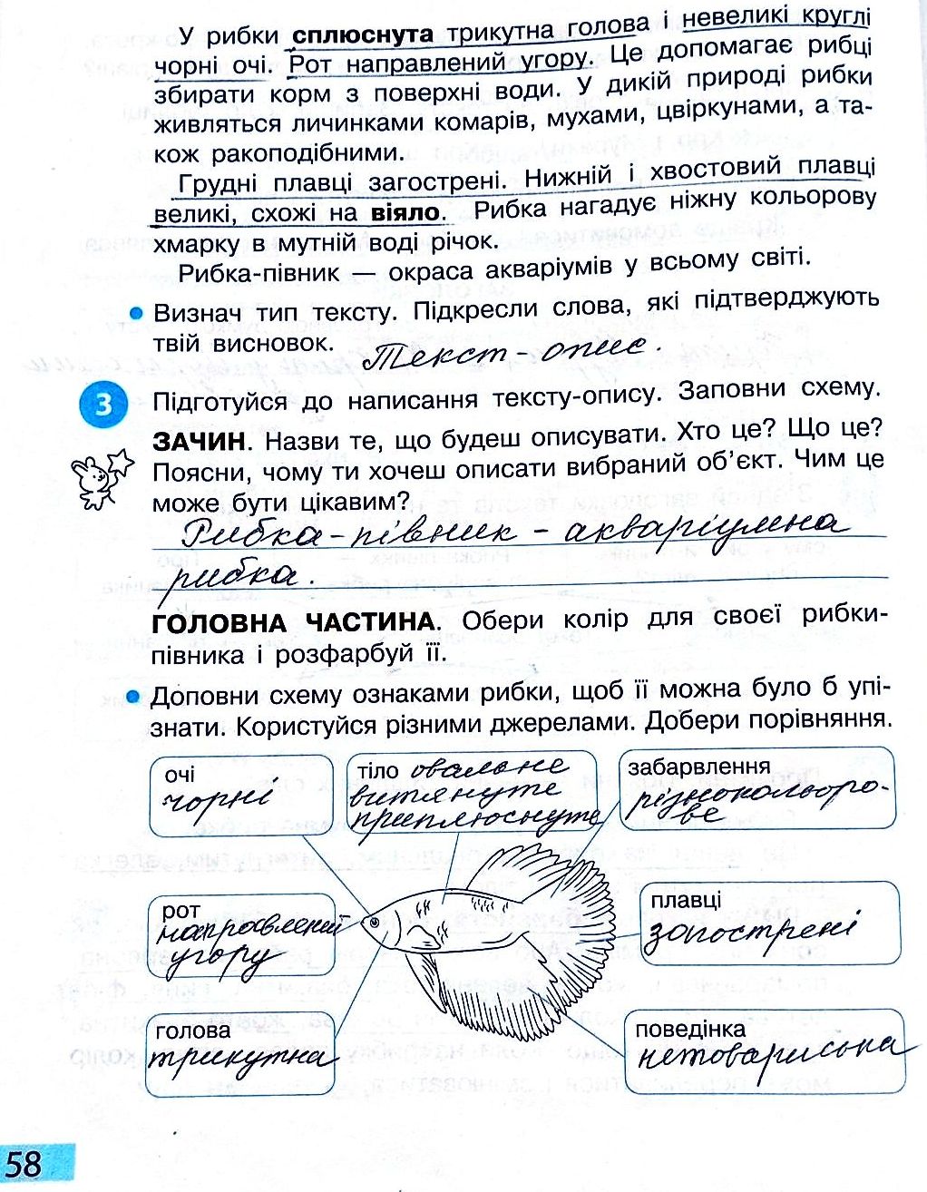 Сторінка 58 частина 2 гдз 3 клас робочий зошит українська мова Большакова
