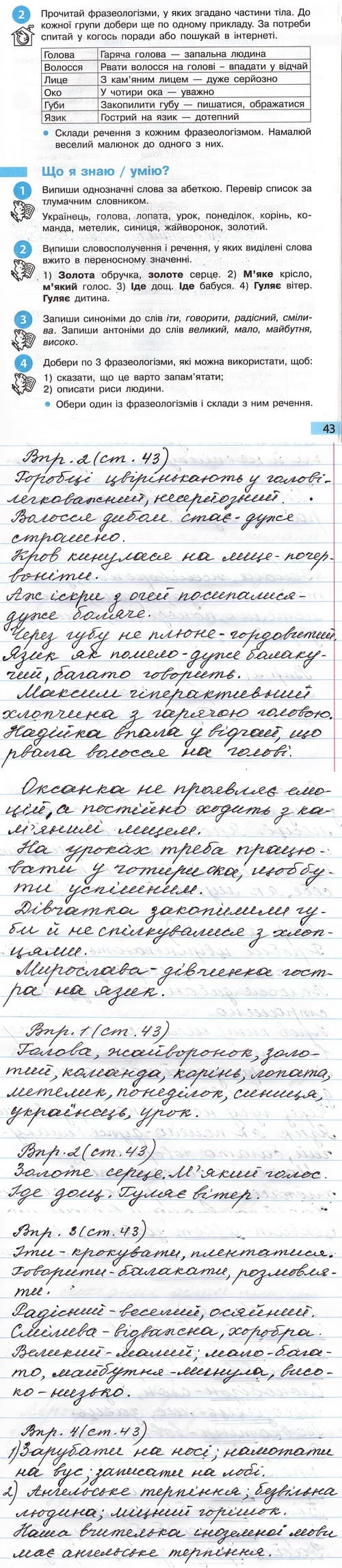 Сторінка 43 частина 1 гдз 4 клас робочий зошит українська мова Большакова  Хворостяний