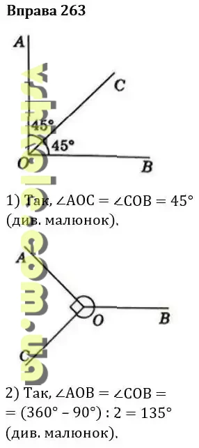Вправа 263 геомерія Істер гдз 7 клас